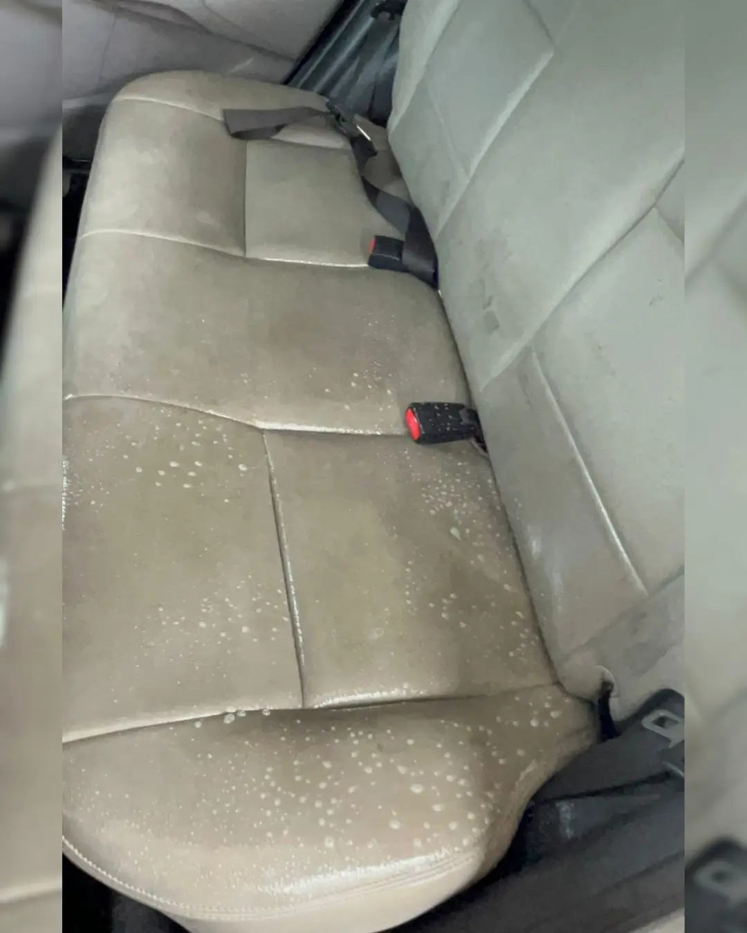 limpeza de bancos de carros